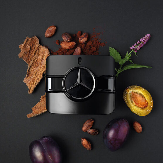 Perfume Mercedes Benz Sign Your Power Masculino EDP